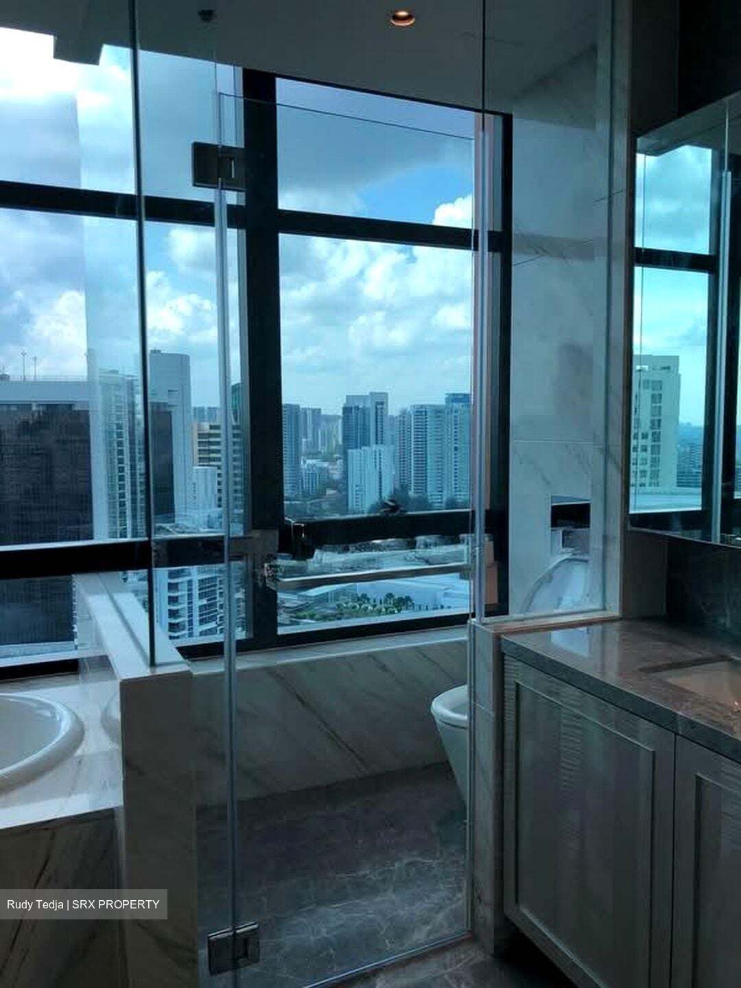 The Ritz-Carlton  (D9), Condominium #535462231